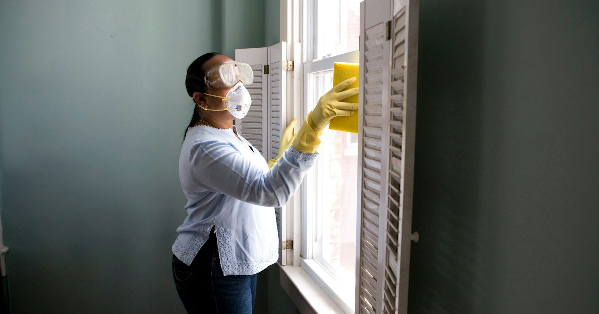 Routine House Cleaning: What to Expect