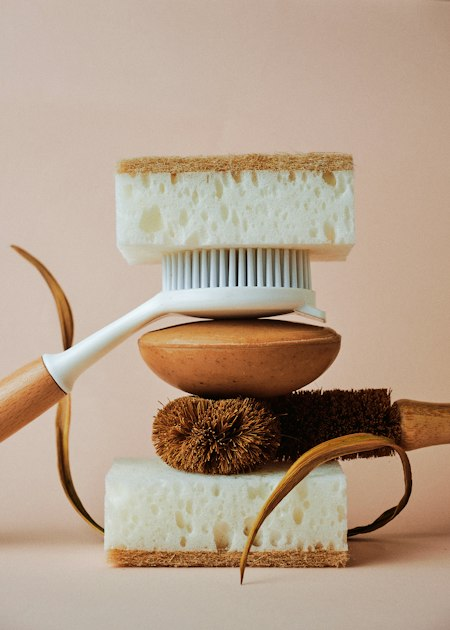 Specialized Cleaning Services Explained